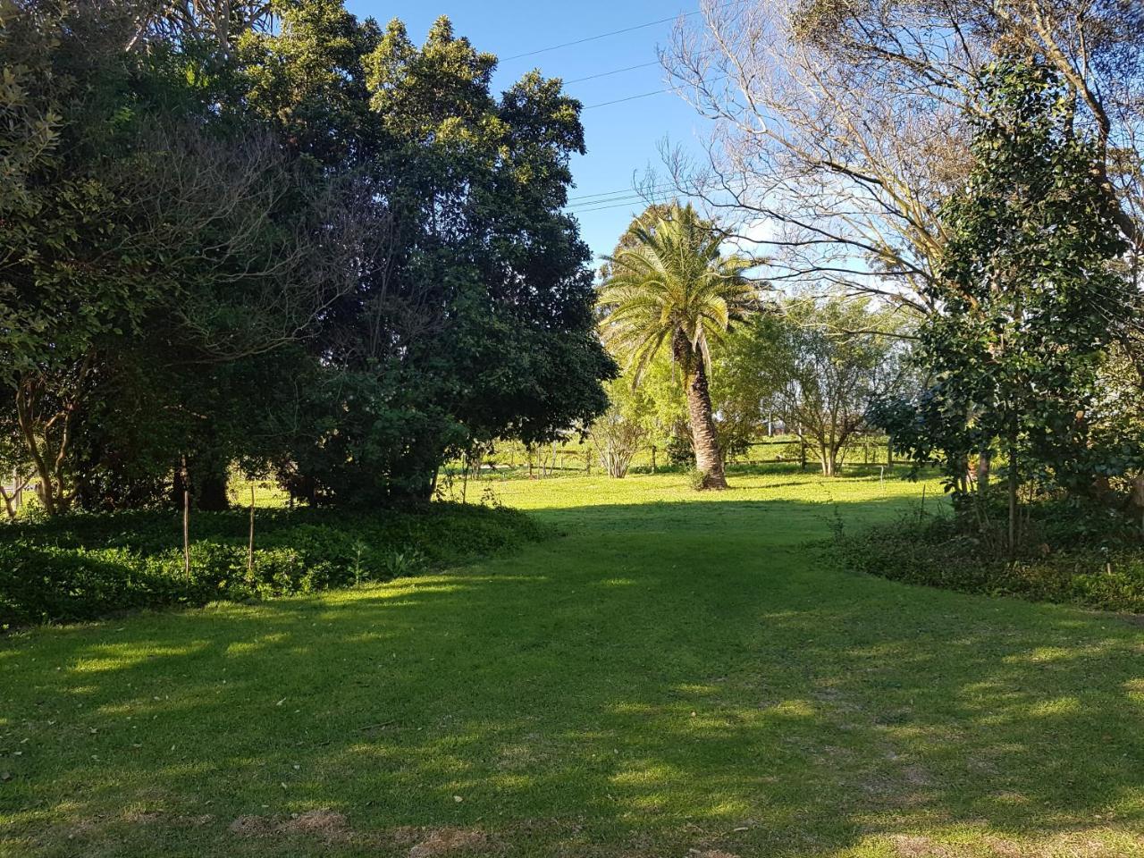 Te Amo Guesthouse Stellenbosch Exterior photo