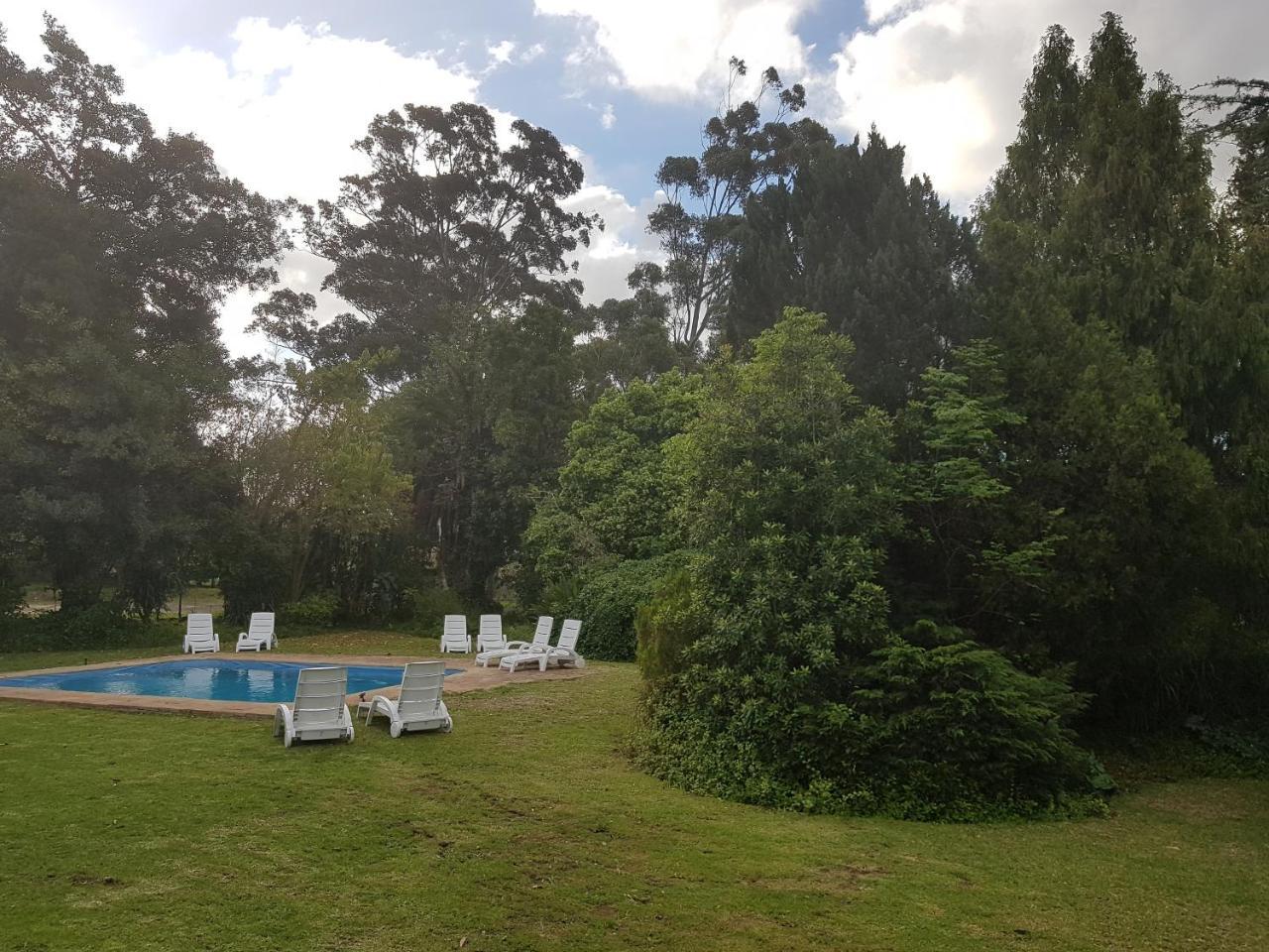 Te Amo Guesthouse Stellenbosch Exterior photo